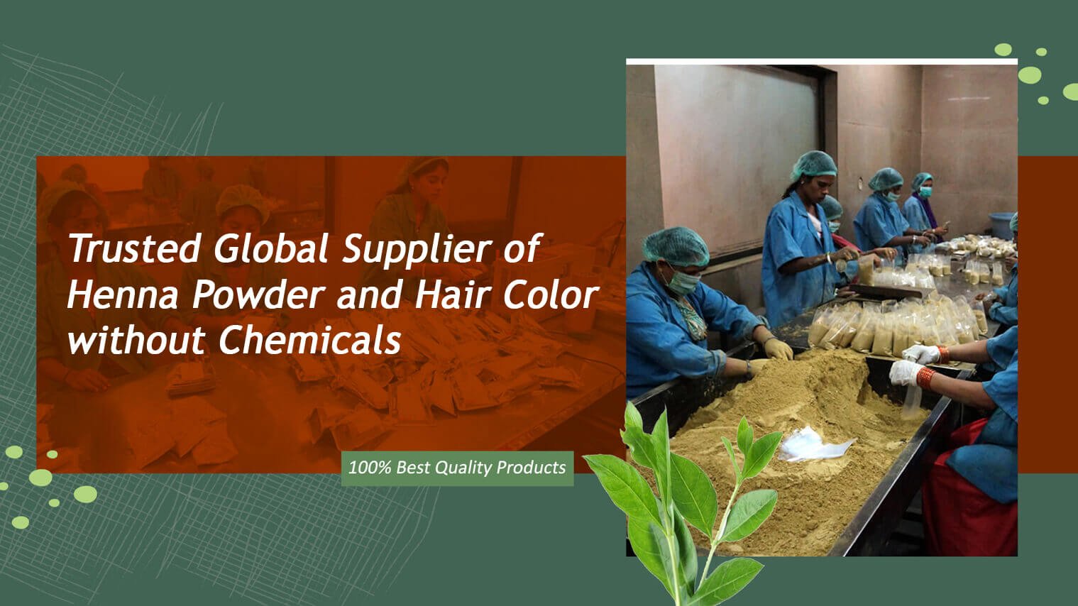 Trusted Global Supplier of Henna Powder